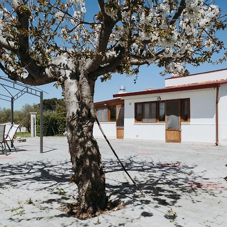 Belvedere House Country Mottola Esterno foto